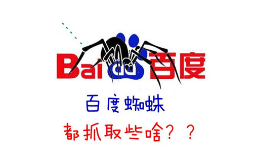 百度蜘蛛.jpg